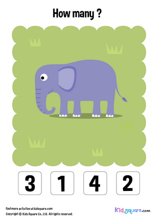 How many elephants?