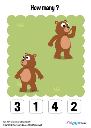 Counting Bear