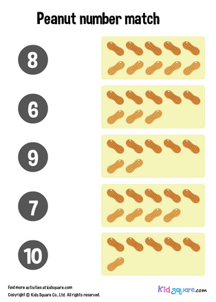 Peanut Number Matching (6-10)