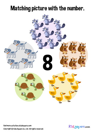Matching 8 Animals
