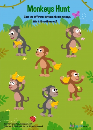 find animal (Monkeys)