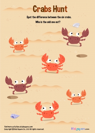 find animal (Crab)
