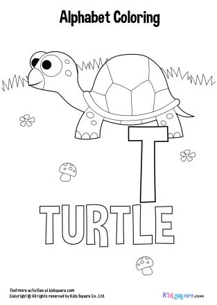 แต้มสีตัวอักษร(Turtle)