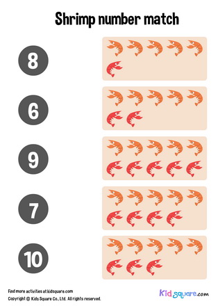 Shrimp Number Matching (6-10)