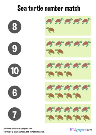 Sea Turtle Number Matching (6-10)
