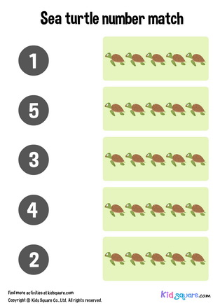 Sea Turtle Number Matching (1-5)