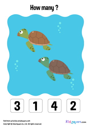 How many sea turtles are there?