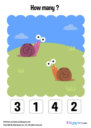 How many snails?