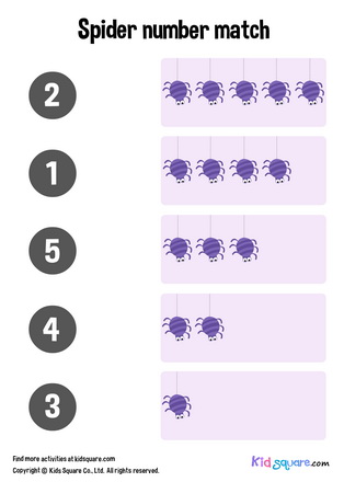 Spider Number Matching (1-5)