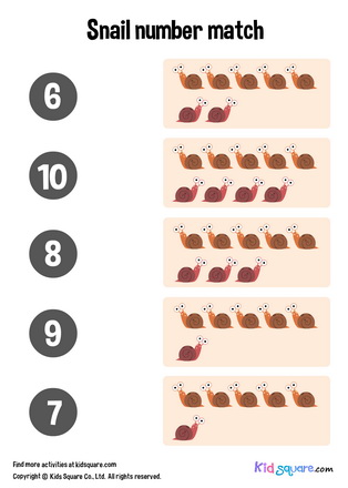 Snail Number Matching (6-10)
