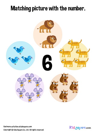 Matching 6 Animals