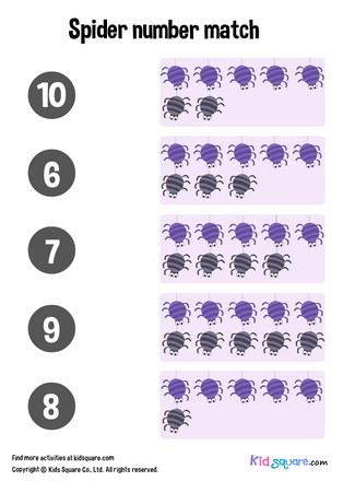 Spider Number Matching (6-10)