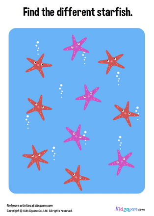 Find the different starfish