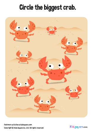 Find the biggest crab