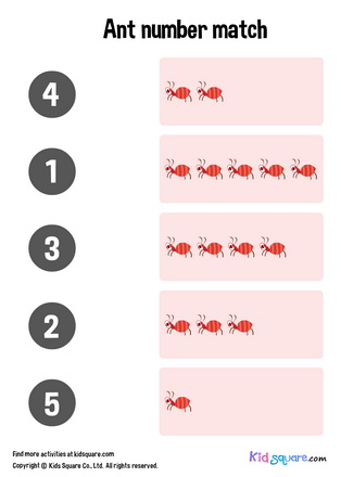 Ant Number Matching (1-5)