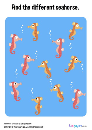 Find the different seahorse