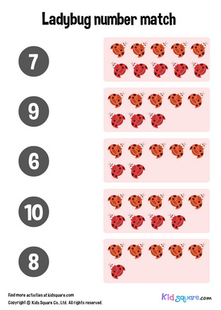 Ladybug Number Matching (6-10)