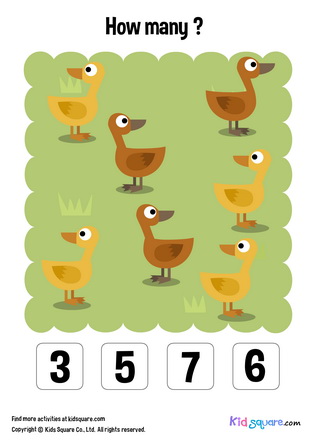 Counting (Duck)