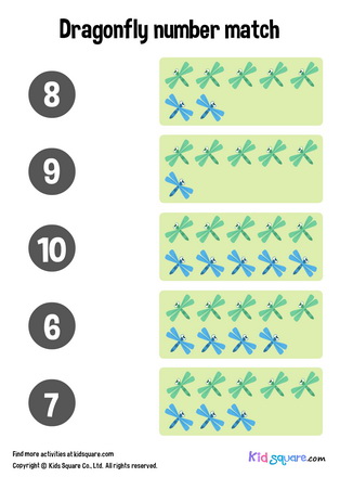 Dragonfly Number Matching (6-10)