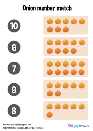 Onion Number Matching (6-10)