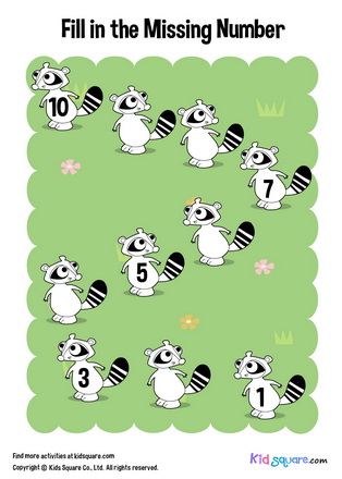 Fill in the missing number (Raccoon)