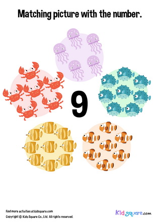 Matching 9 Sea Animals