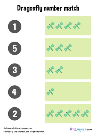 Dragonfly Number Matching (1-5)