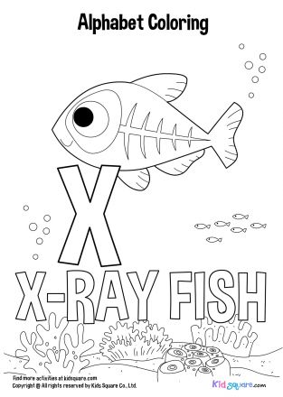 แต้มสีตัวอักษร (X-ray Fish)