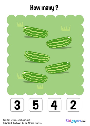 How many cucumbers?