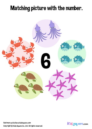 Matching 6 Sea Animals