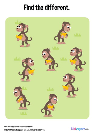 FInd the different monkey