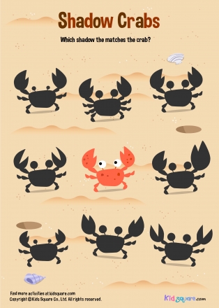 shadow2 ( Crab )