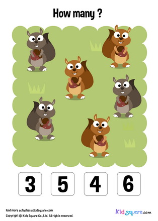 Counting (Squirrel)
