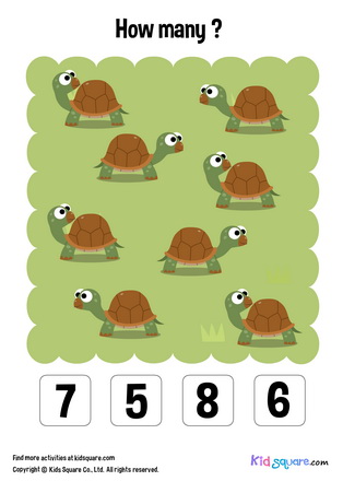 Counting (Turtle)