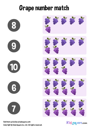 Grape Number Matching (6-10)