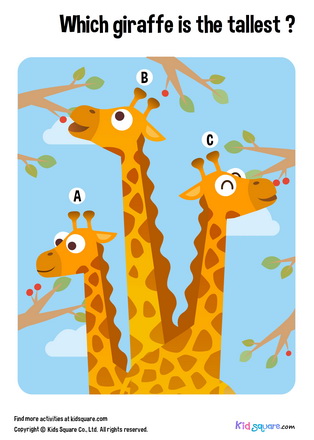 Which giraffe is the tallest?