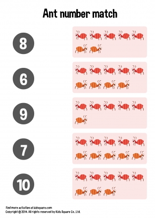Ant Number Matching (6-10)