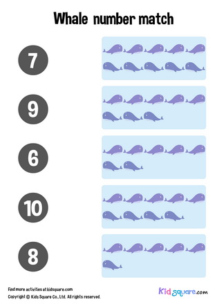 Whale Number Matching (6-10)