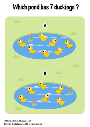 Which pond has 7 Ducklings?